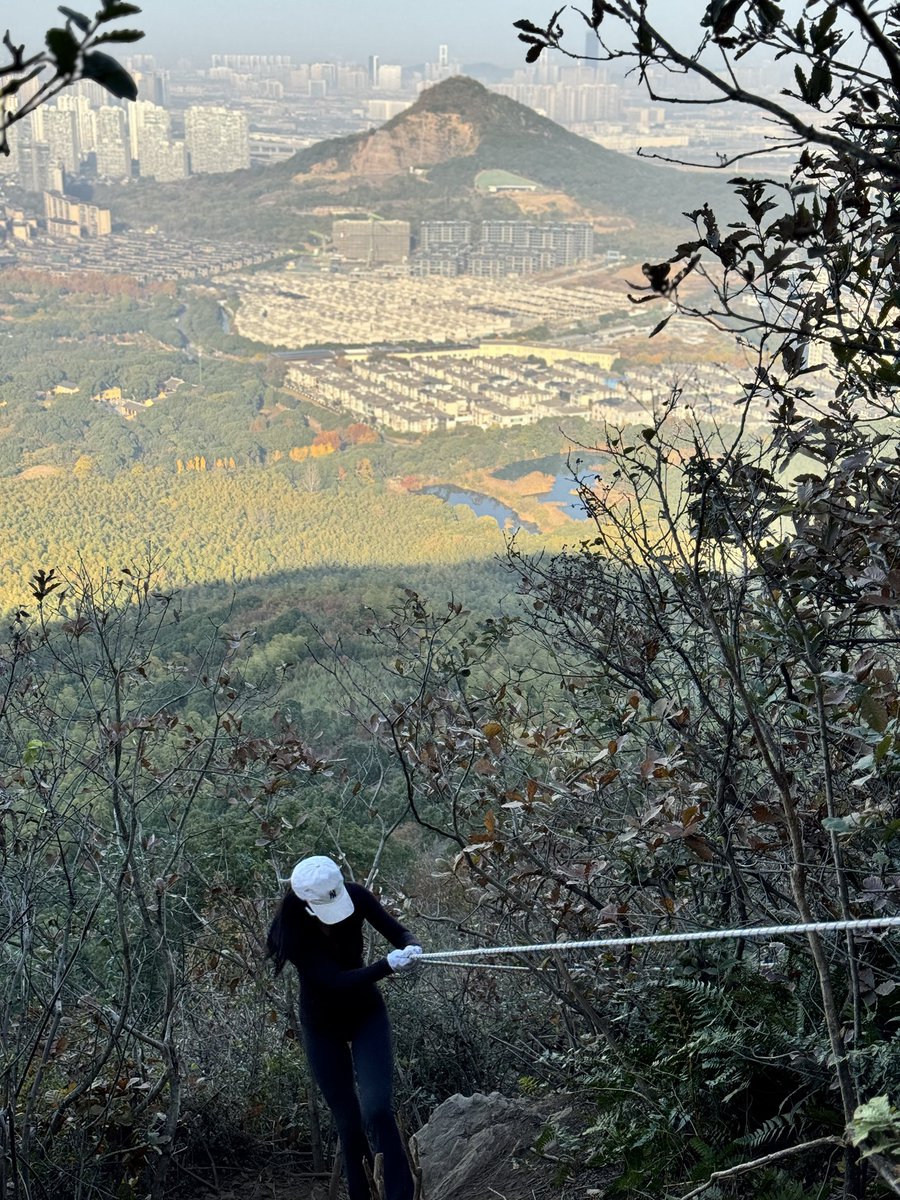 林间鹿 tweet media