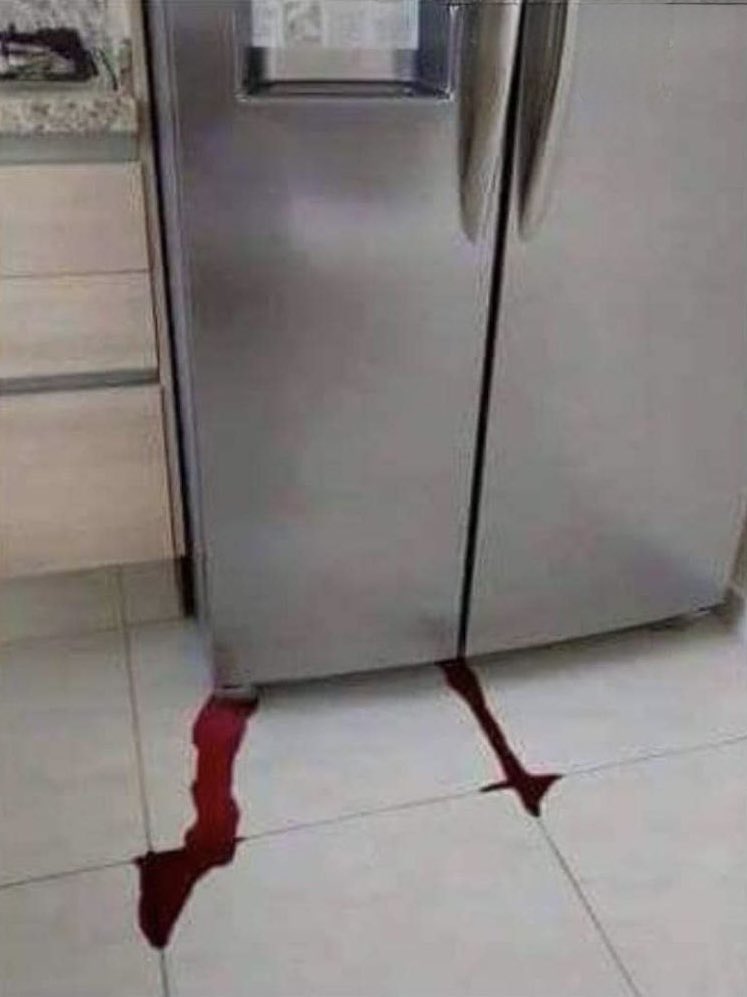 Dios_0ficial's tweet photo. El momento en que tu nevera deja de ser niña y se vuelve toda una mujer. https://t.co/seg31EGB0z