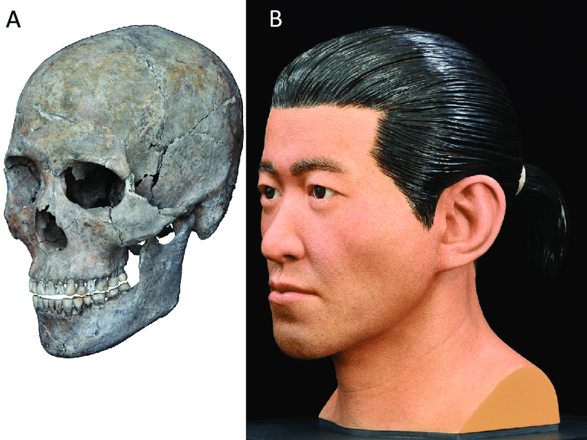 MeeRebus11's tweet image. Rupa Muka Proto-Austronesia/Facial Reconstruction of Proto-Austronesian:

Facial approximation of an early wet-rice farmer in the Yangtze River Delta. (A) M252 cranium of the Guangfulin site. 

#austronesian