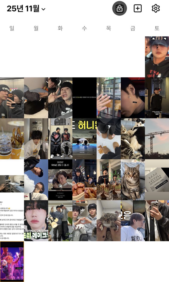 준성호코코망치빠루네 11월 기록🐱🐤🐱🐱🐱