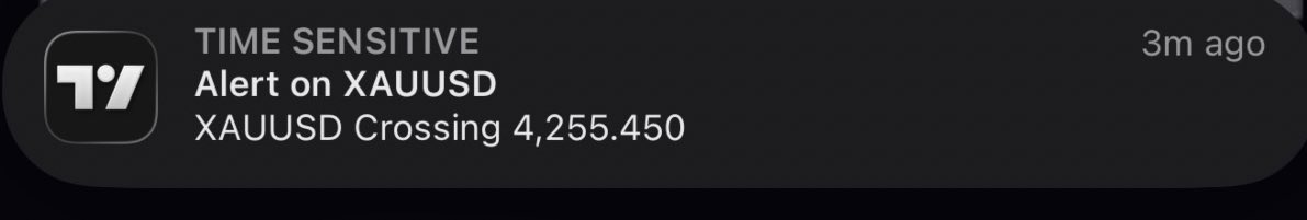 tradesbysci's tweet image. 🫡