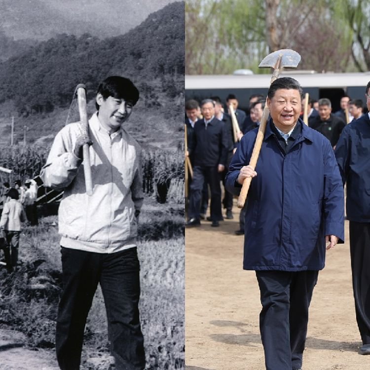 李婧🇨🇳 tweet media