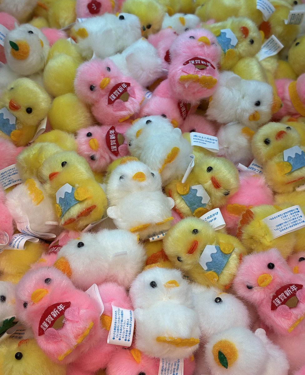 Cpla12876131's tweet image. ＼✨🐣ぴより〜な情報🐣✨／

本日より【お正月ぴより〜な】が
仲間入りしております📢
数量限定ですので是非お早めにゲットしてくださいね💖

#ぴより〜な #ぴより〜な1号 #シープラ