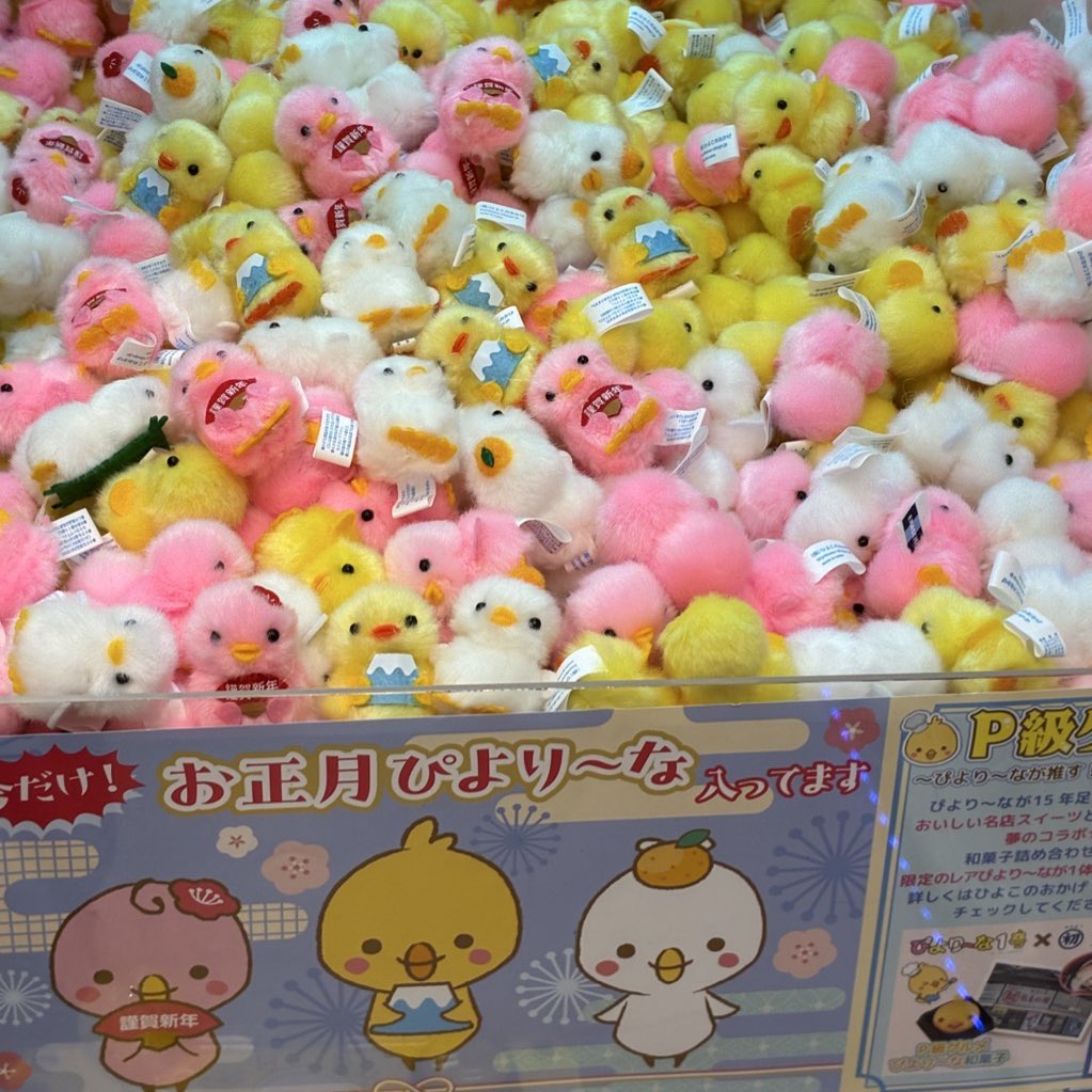 Cpla12876131's tweet image. ＼✨🐣ぴより〜な情報🐣✨／

本日より【お正月ぴより〜な】が
仲間入りしております📢
数量限定ですので是非お早めにゲットしてくださいね💖

#ぴより〜な #ぴより〜な1号 #シープラ