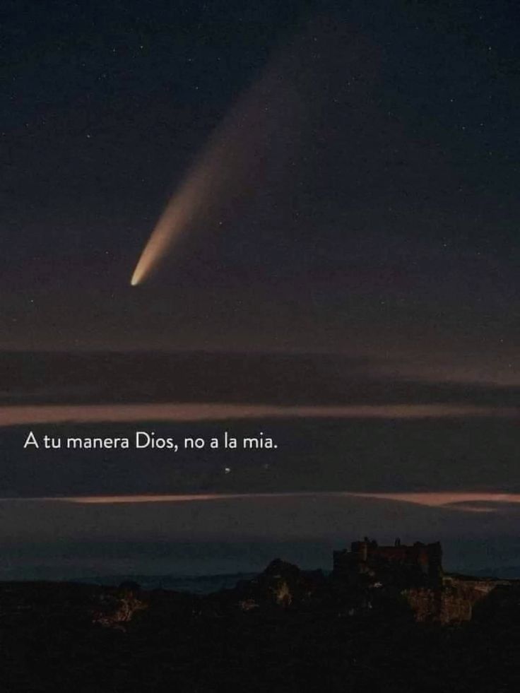 el Siervo tweet media
