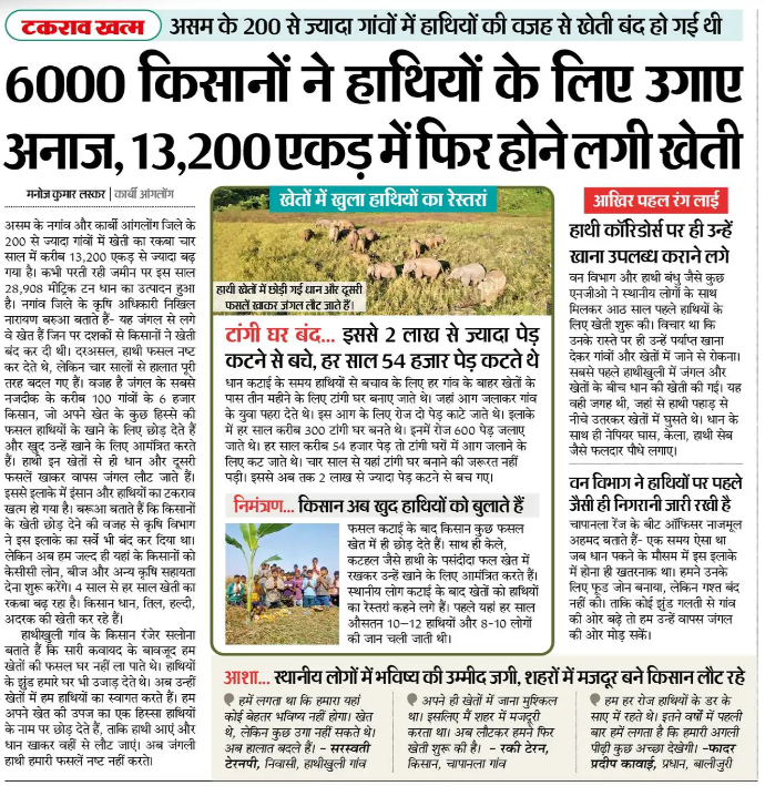 askrajeshsahu's tweet photo. हाथी फसल खा जाते थे इसलिए खेती बंद हो गई। लेकिन इसके बाद किसानों ने एक तरकीब निकाली। जंगल के करीब वाले खेतों में कुछ फसल हाथियों के लिए छोड़ दी। अब हाथी निकलते, वही खाते और वापस जंगल चले जाते। 

बाकी हिस्सों में किसानों ने रिकॉर्ड पैदावार की। खबर असम की है। https://t.co/TAE38CqHa6