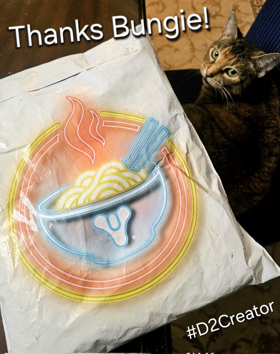 Thanks for the D2Creator Shirt Bungie!  Can't Wait For Tuesday!! #Destiny2 #Bungie #D2Creator #Destiny  #LilRumbleBee