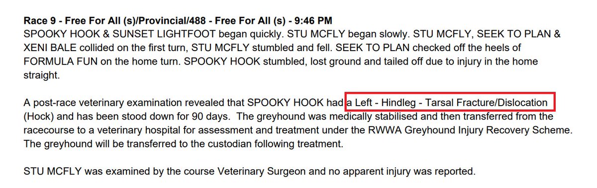 susanamet's tweet image. Mandurah (WA) on Friday "Spooky Hook" suffered "a Left - Hindleg - Tarsal Fracture/Dislocation (Hock)". 90 days incapacitation if they don't kill him

The replay for this race (9) was quickly disappeared from the website and other platforms. If you have it, would be grateful if…