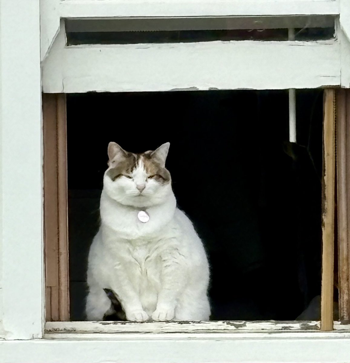 readyred68's tweet image. #AlphabetChallenge
#WeekWforWindows