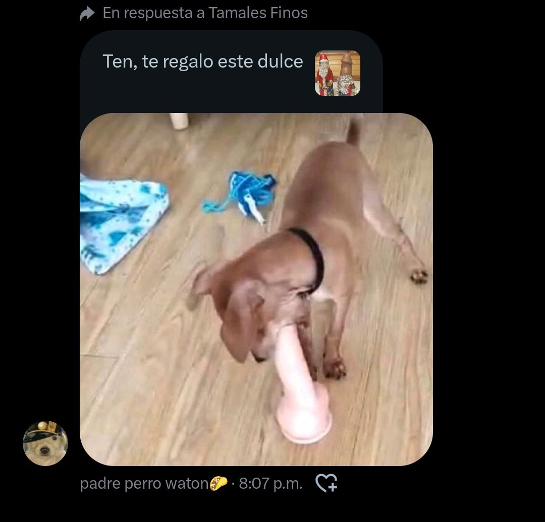 Aporte por:<a href="/Srjason24/">Tamales Finos</a>

Aparece:<a href="/DannyJZero1/">padre perro waton🌮</a>