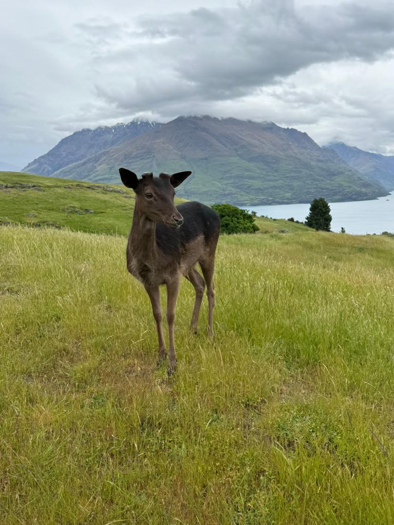 captsingh's tweet image. Good morning @TawandaButche1