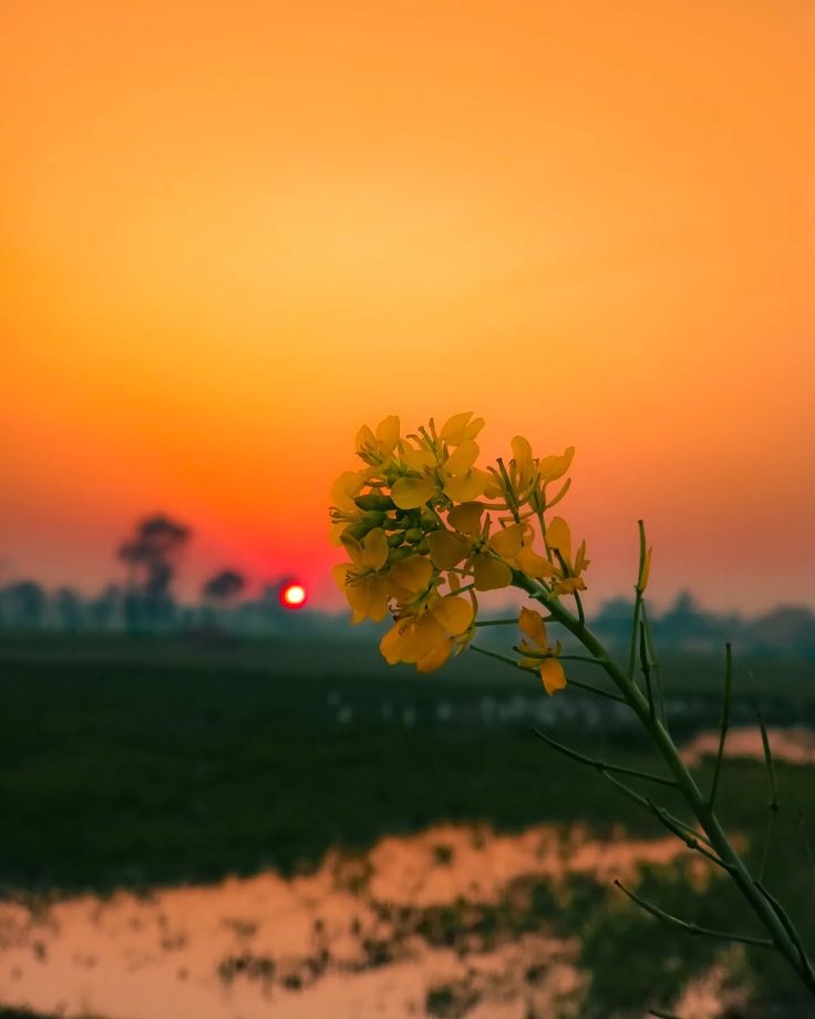 Good Morning,, all 🙋‍♀️🙋‍♀️