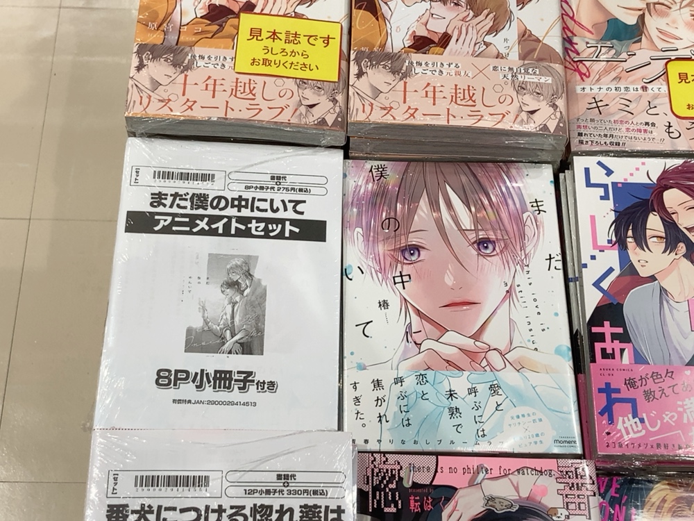 書籍入荷情報】 まだ僕の中にいて アニメイトセットが入荷しました