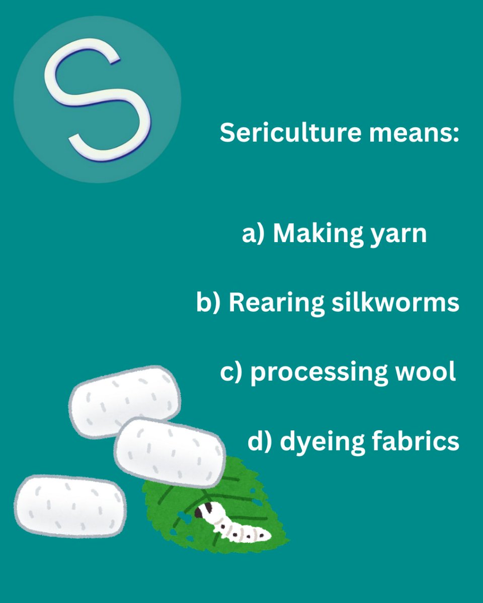 studifysuccess's tweet image. What will be the right answer

#studifysuccess #studifysuccesstalks #quiz #education