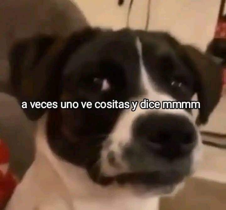 Animalesaprieto's tweet photo. https://t.co/y2l2QJUZJ2