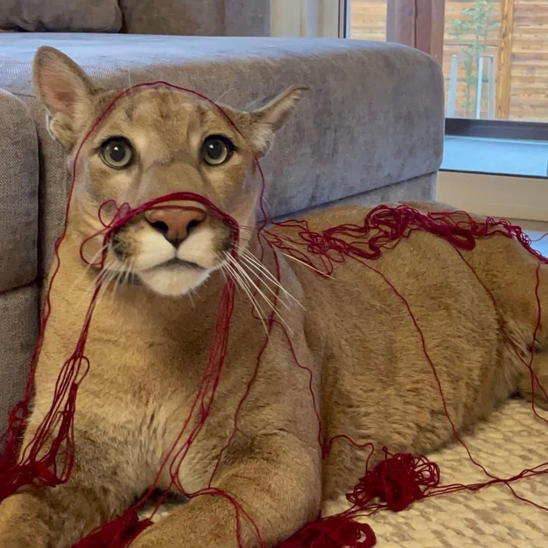 a bit of a sticky situation