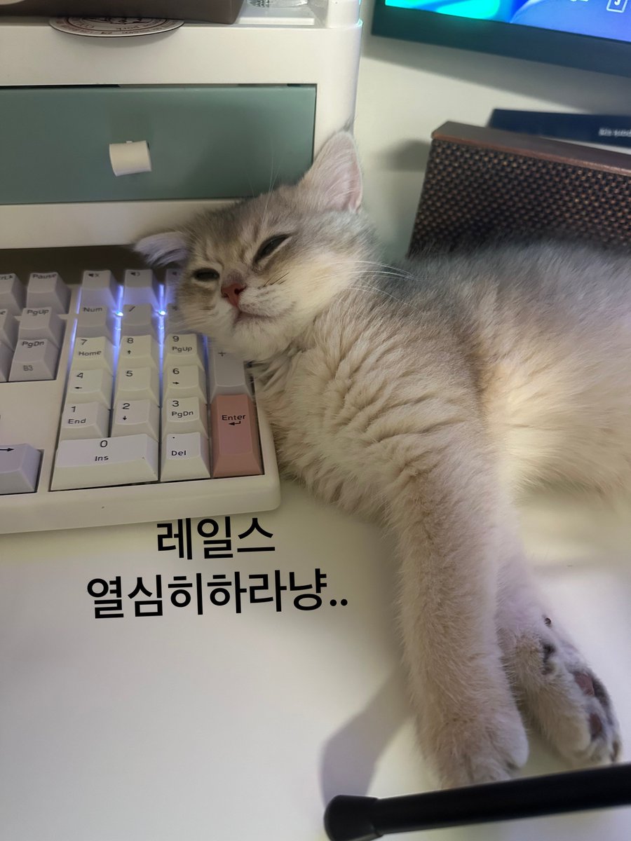 호롱🌊RIVER.싸이식 tweet media