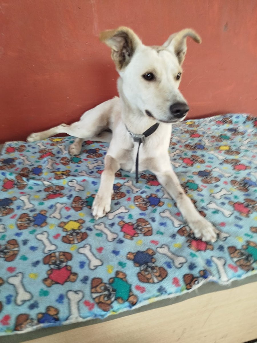 Ximena A.G tweet media