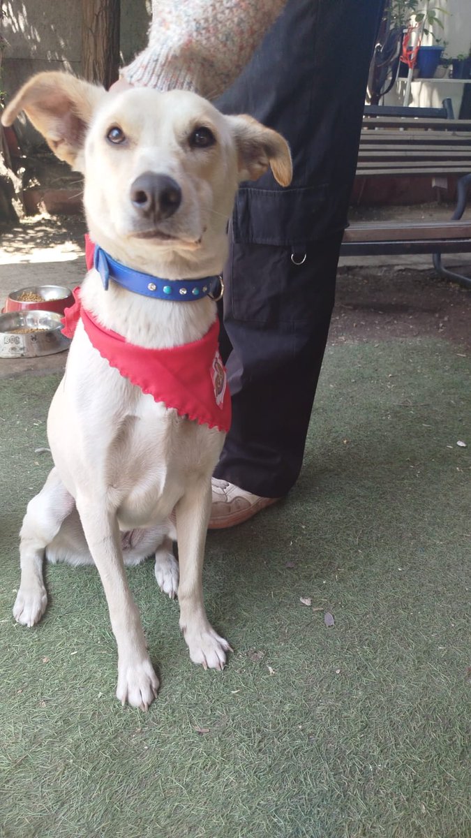 Ximena A.G tweet media