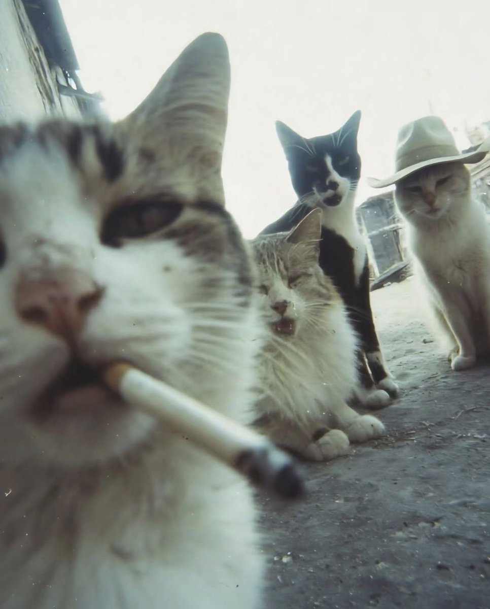 twaniimals's tweet photo. https://t.co/b2Li9RIX08