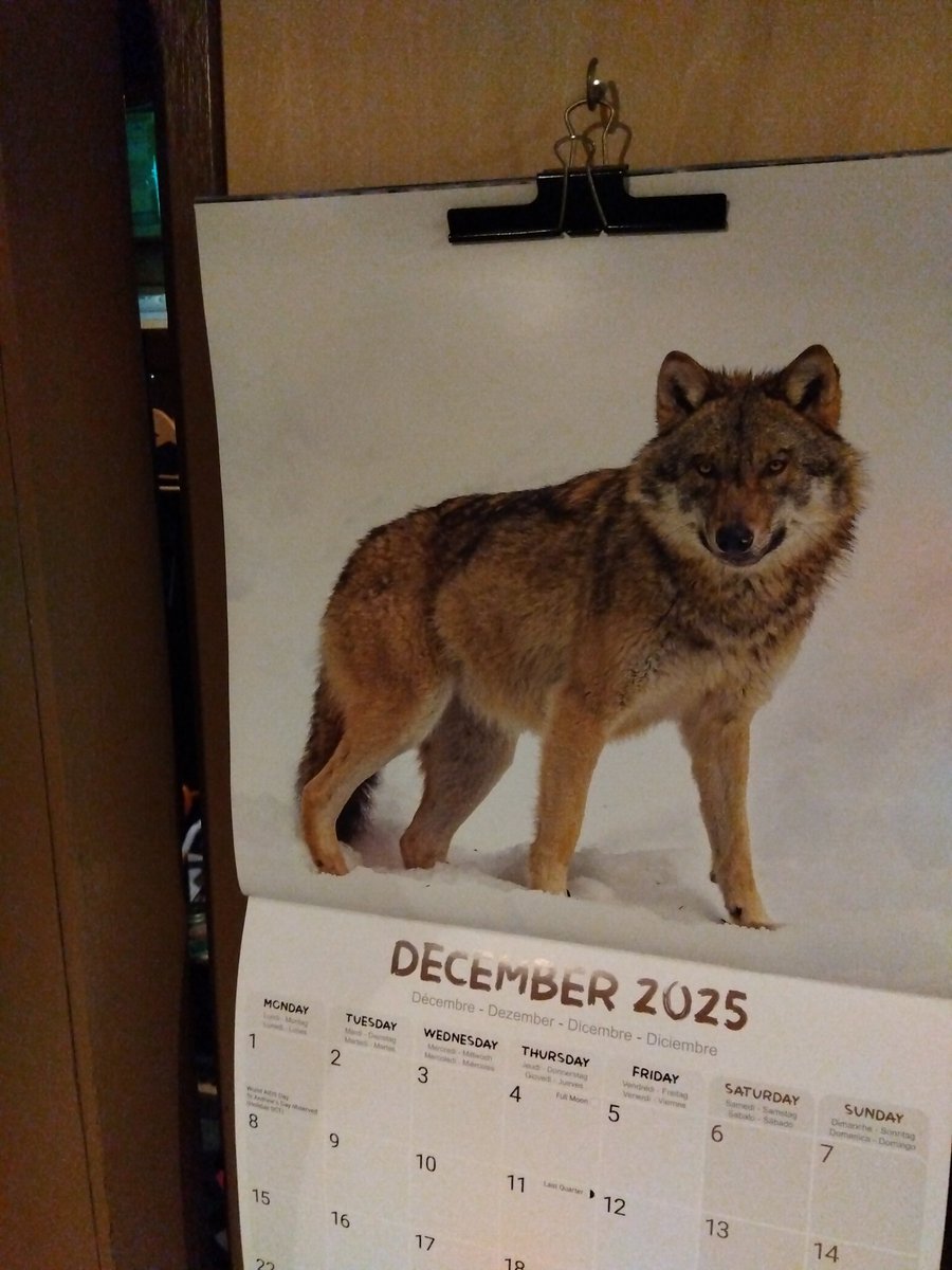 alchemy_studio's tweet photo. 2025年12月スタートしました！
皆様のご利用を心よりお待ちしております。

レコーディング、ミックス、マスタリング、
ご利用前のスタジオ見学・ご質問など、気軽にご連絡くださいませ。

＊スタジオご利用について
https://t.co/DTwoGKZq5o https://t.co/ZIb9DeXFWK