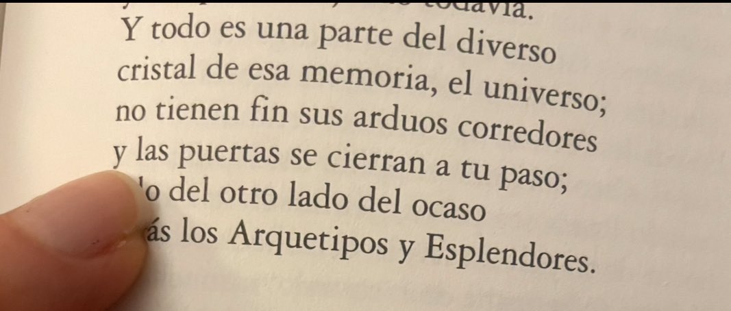 “Y todo es parte del diverso 
cristal de esa memoria, el universo;
no tienen fin sus arduos corredores…”

- Borges.