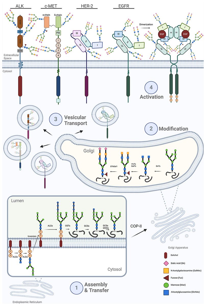 Cytojournal tweet media