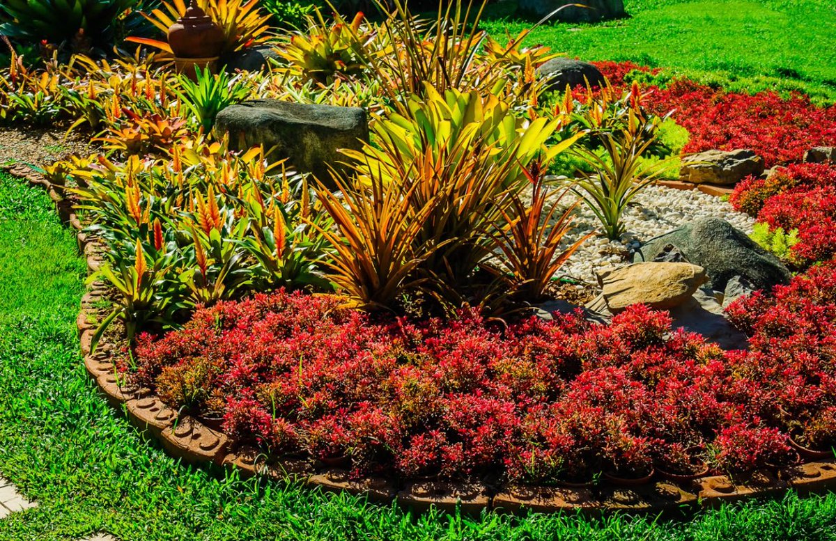 مغطّيات التربة :  ليست فراغًا يُغطّى ، بل فكرة ذكية تجمع الجمال، الحماية، والاستدامة للفراغ ولكنها تفاصيل صغيرة تصنع فرقًا كبيرًا في المشهد الحضري للمدينة
ودائما نقول 
المدينة الجميلة هي التي تُحسّ قبل أن تُرى بالعين 
#دكتور_امام