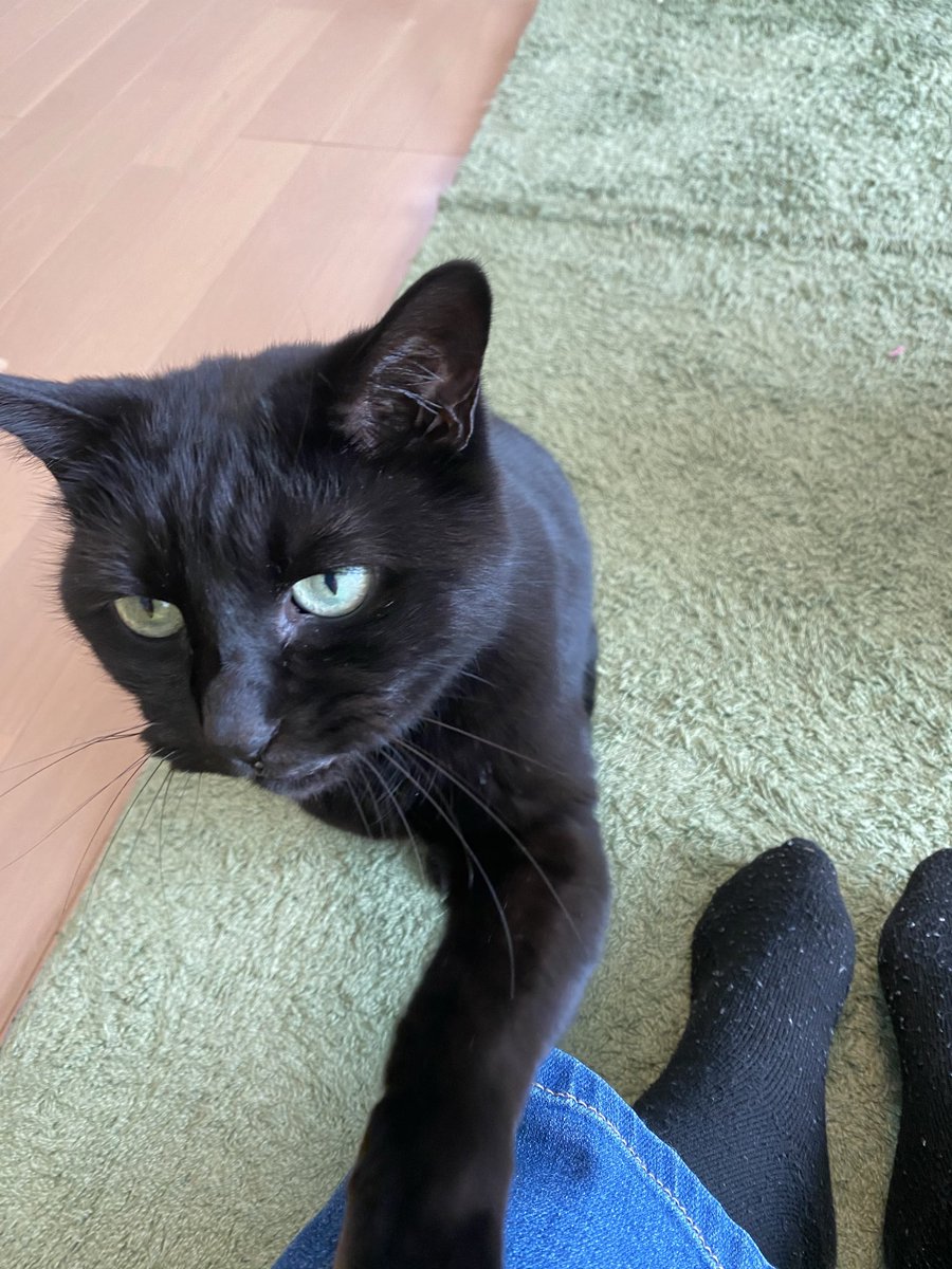 「ねえ　かあさん」
「なあにカカオ　可愛いからなんでもきいちゃうよ🥰」