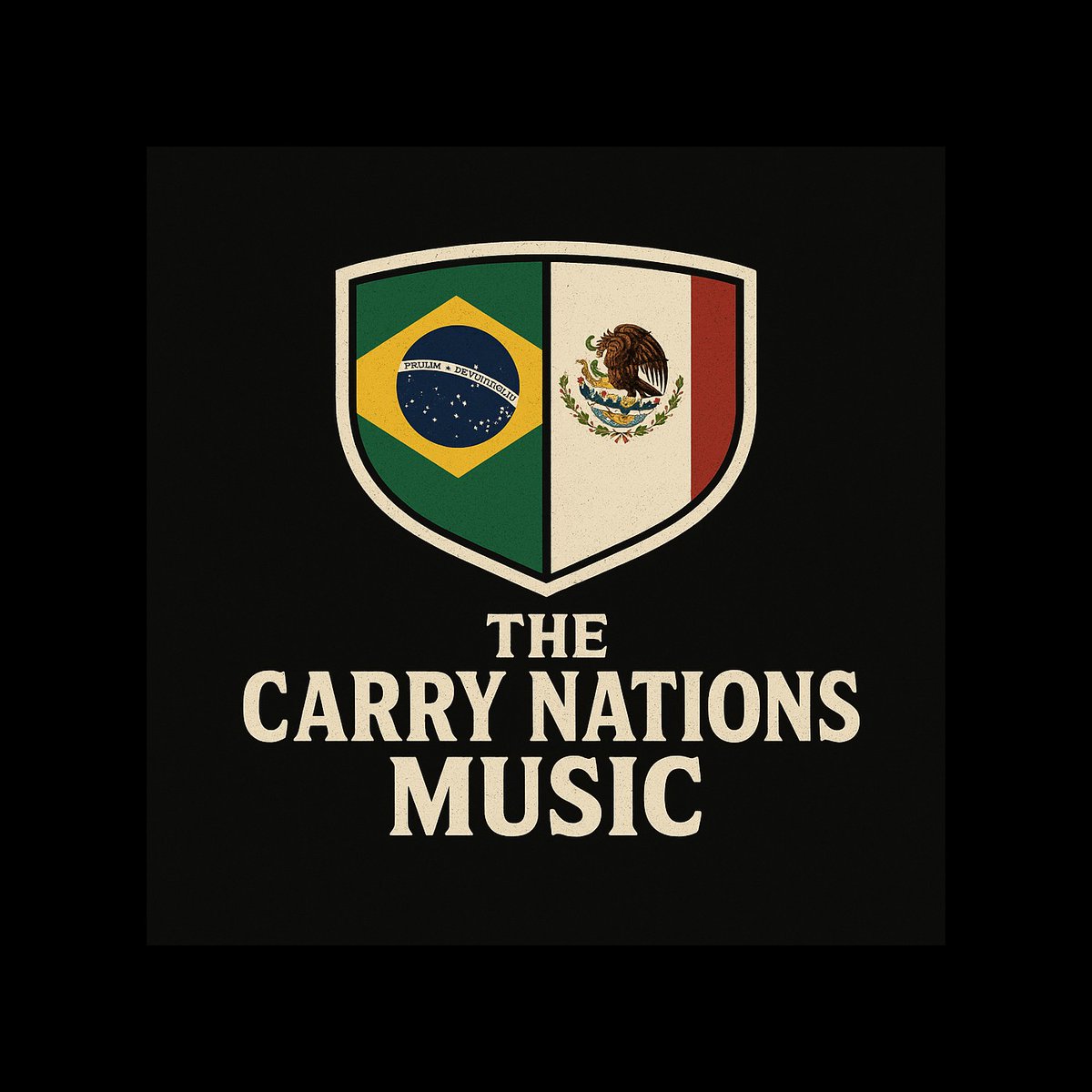 The Carry Nations Music tweet media