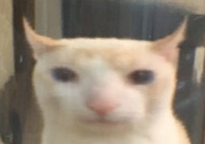 ragemuffin tweet media