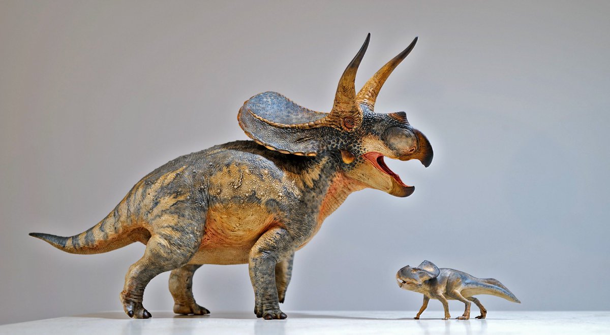 Kumagoro/くまごろ (@kumagoro_mk2) / Posts / X