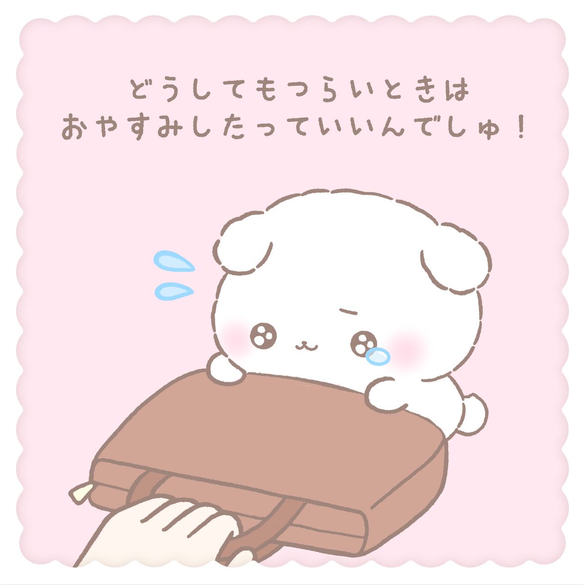 fuwarinmashu's tweet photo. いつもそばにいて きみを笑顔にしたいわんこ
ふわりんましゅ

フォローして見守ってね