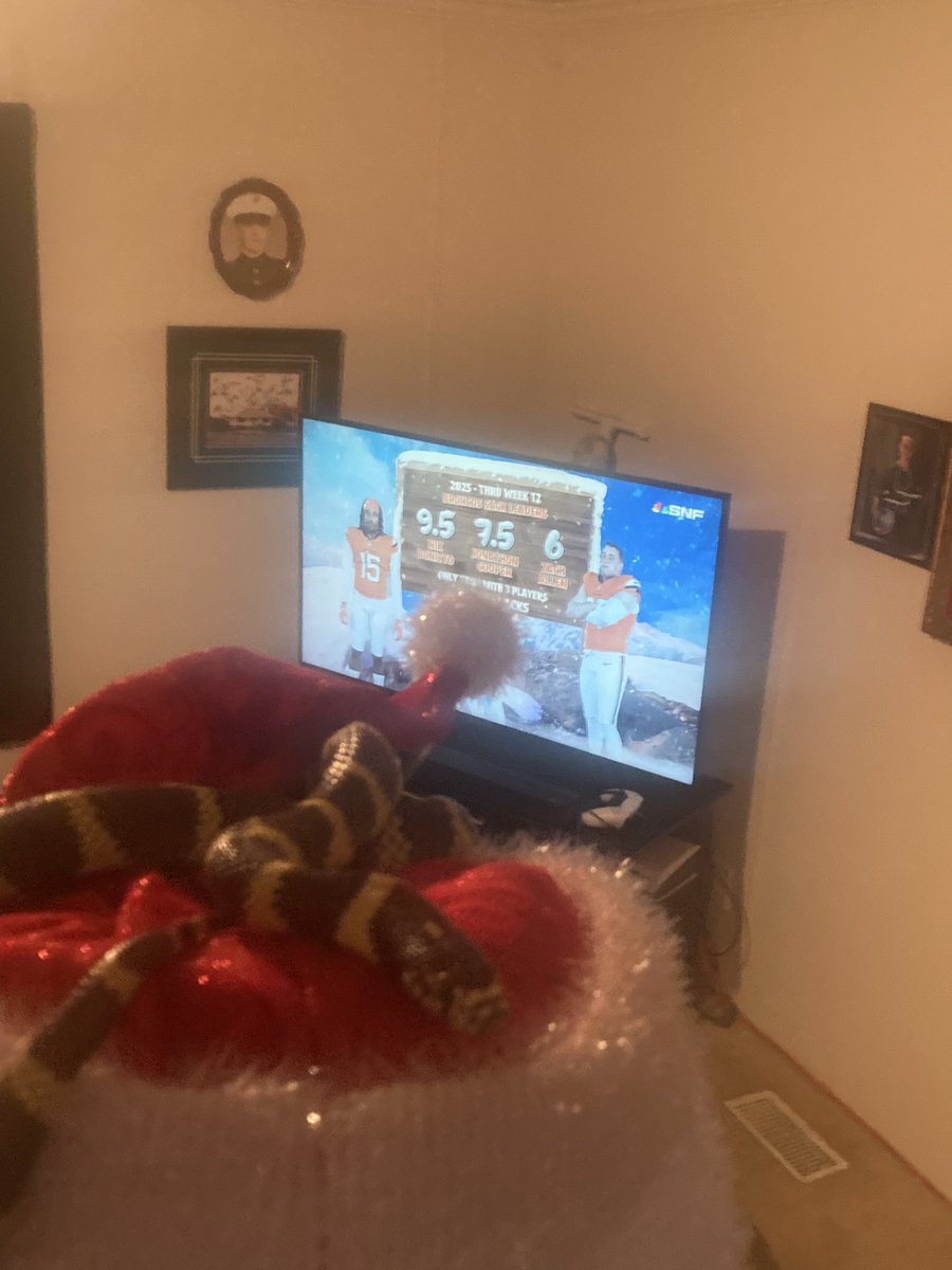 The Snake who stole Christmas!!! 🐍🐍🐍