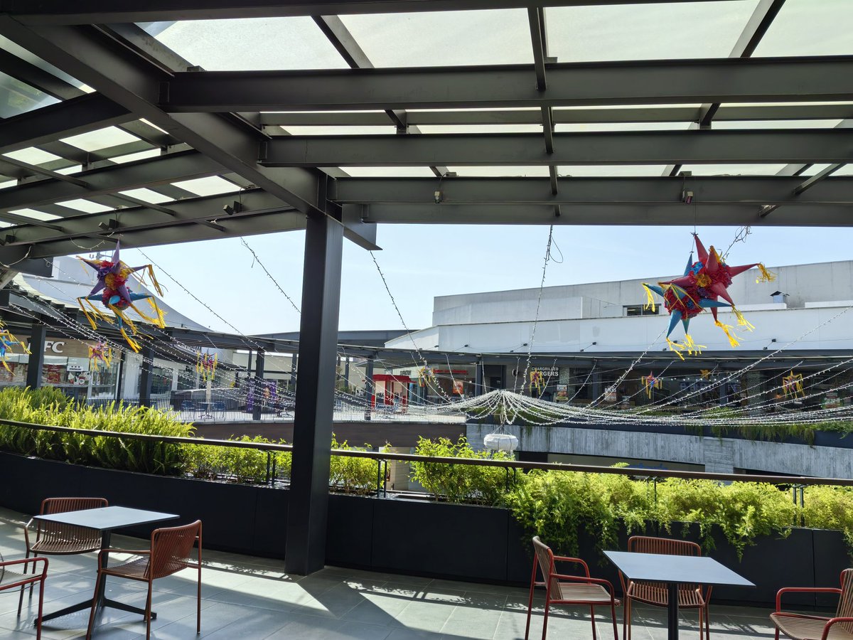 felixxacr's tweet image. Estrenando ojitos 👓

@benandfrank_mx 🤌🏻🤌🏻🤌🏻