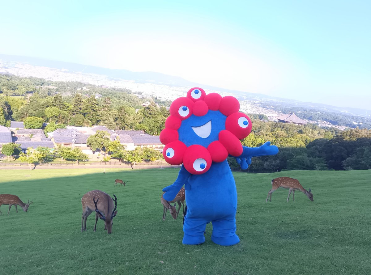 kamaboko様 ノブシリーズ•*¨*•.¸♬︎ 1Box10Pack入り】Z/X-Zillions of enemy X- RUMBLING FORCE：【公式