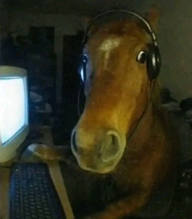 ender tweet media