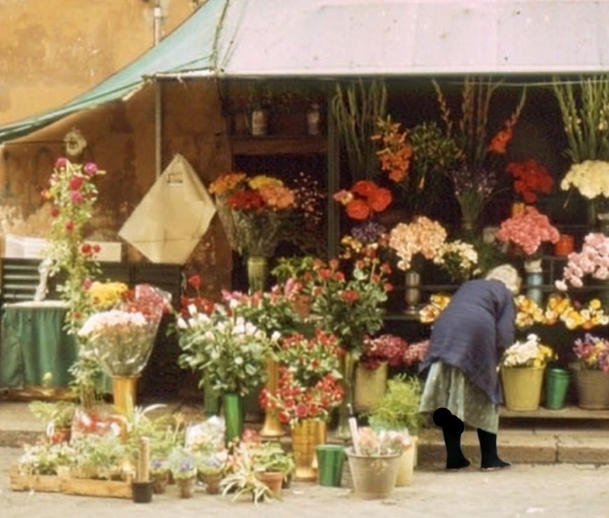 May our december be filled with success, love, healing and happiness