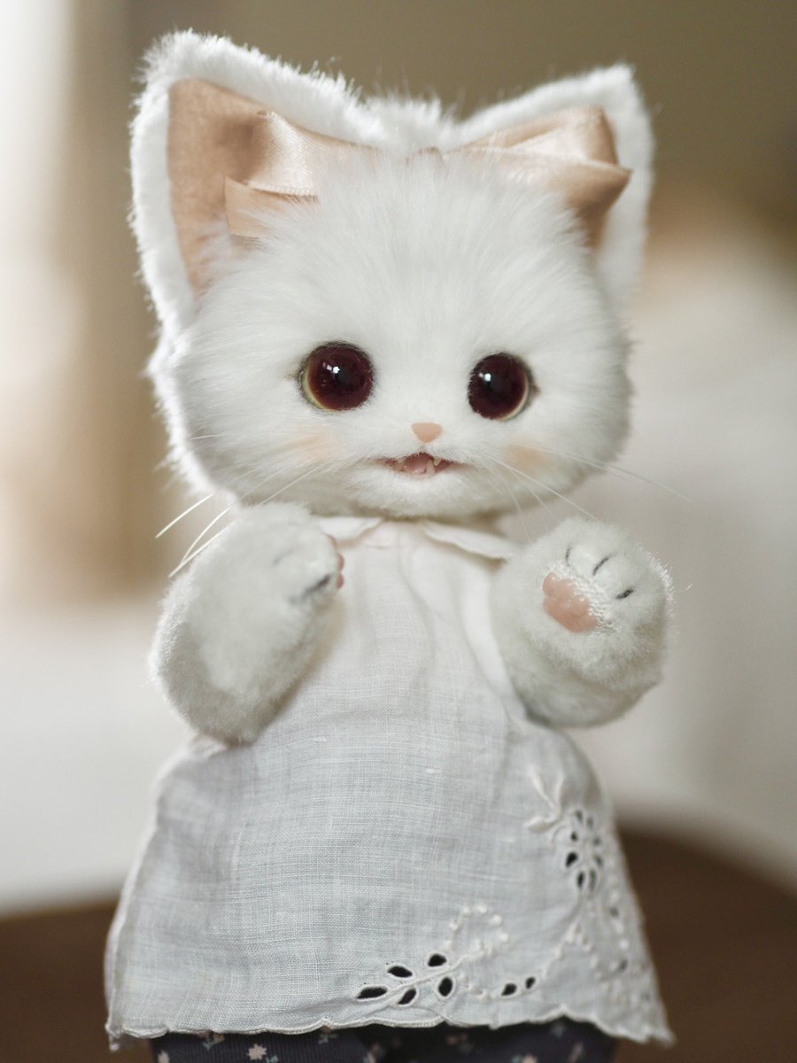 creamy (@yukiriri_1431) / Posts / X