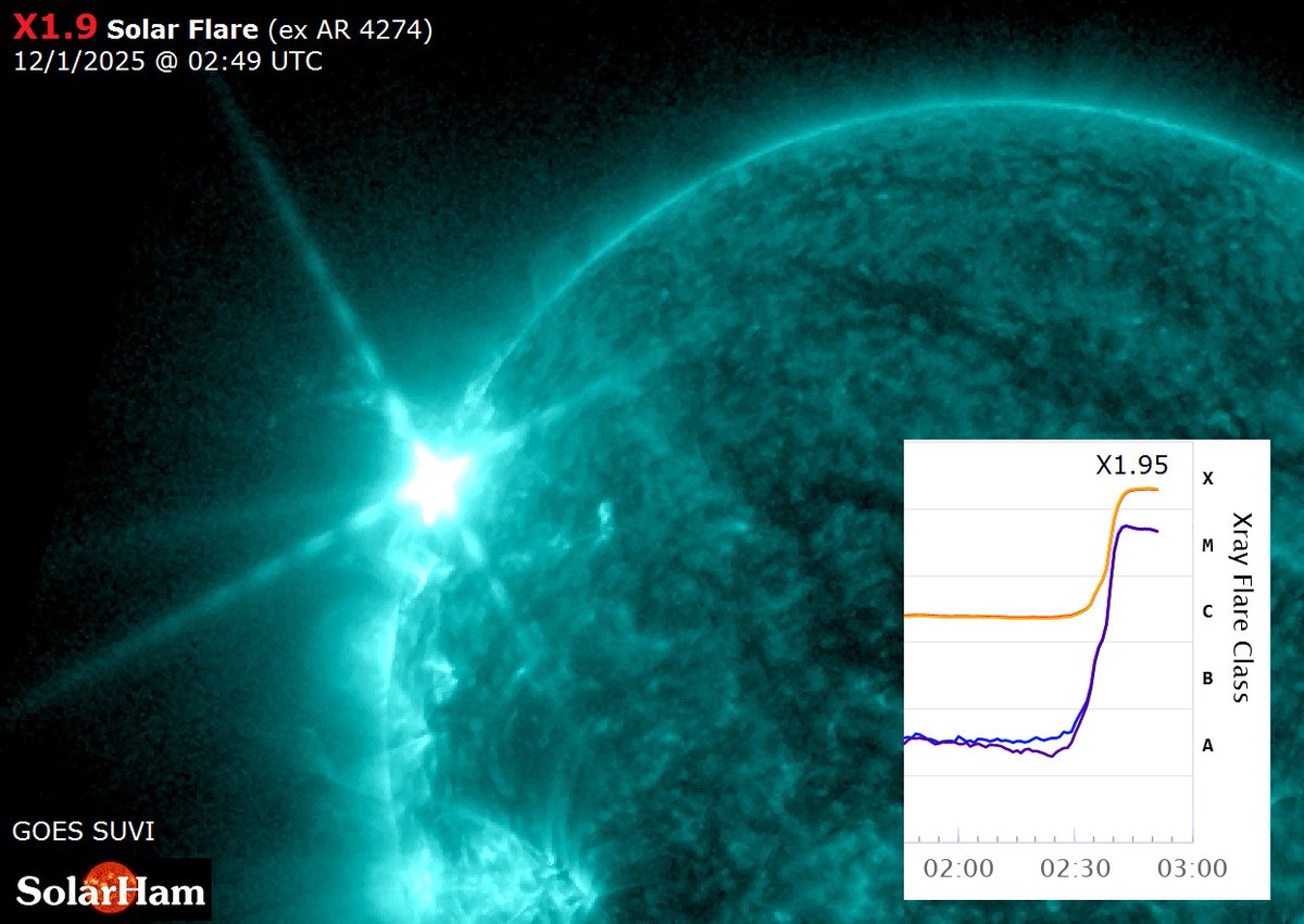 sun 61RbfD7sfQL._AC_UF894,