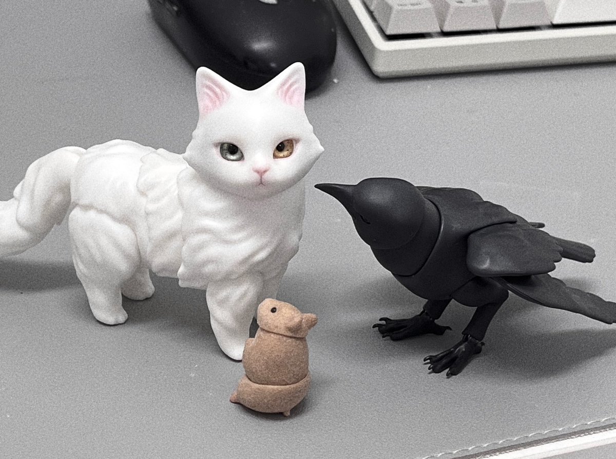 뉴비환영식(?)🐱🐹🐦‍⬛