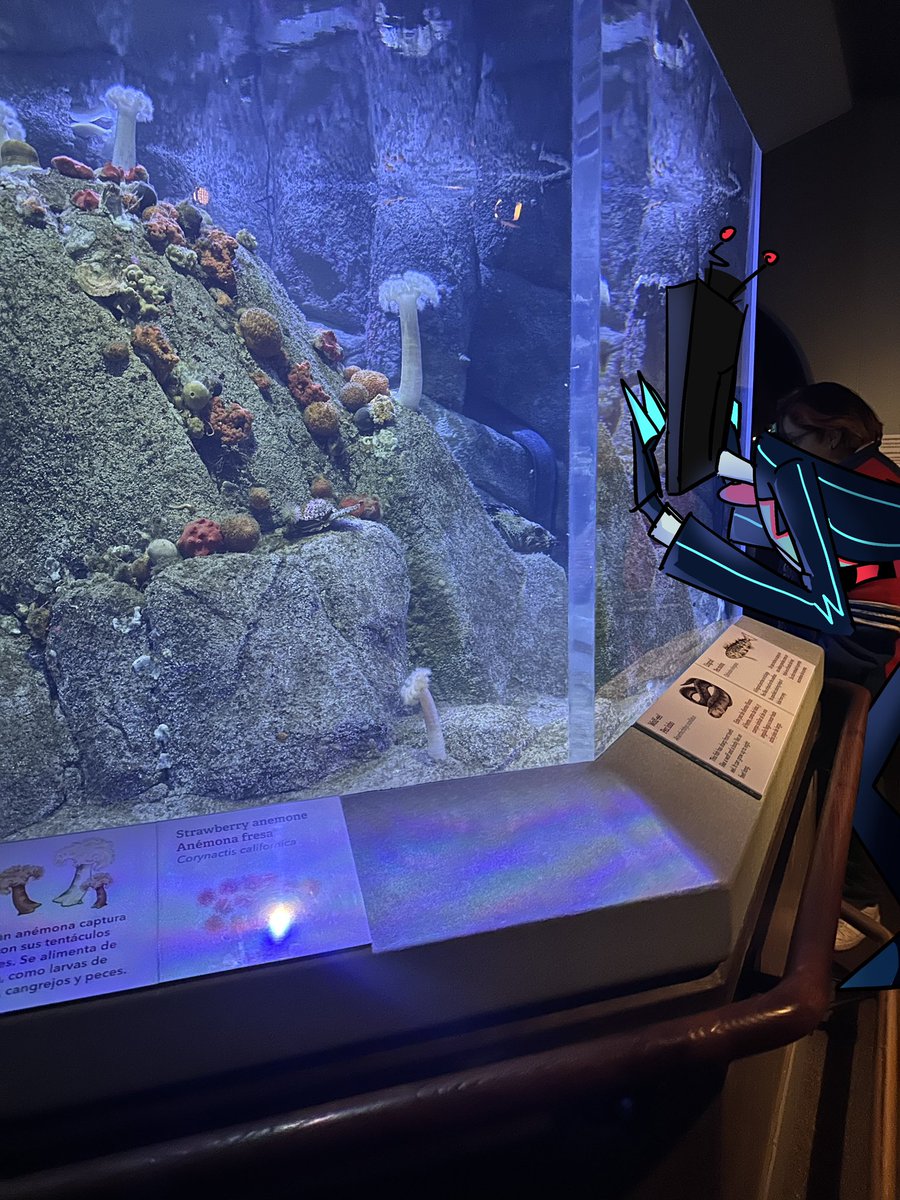 parad0x_art's tweet image. i imagine if Vox wants to stare at fish, his entire face is just flat pressed up against the class LOL