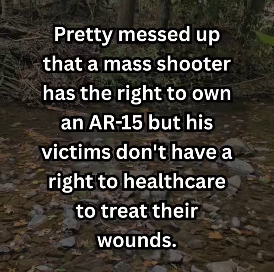 SabrinaRC4's tweet image. "But, but muh rights...healthcare isn't in the constitution!"

People DO NOT need a gun. People DO need medical and health care.