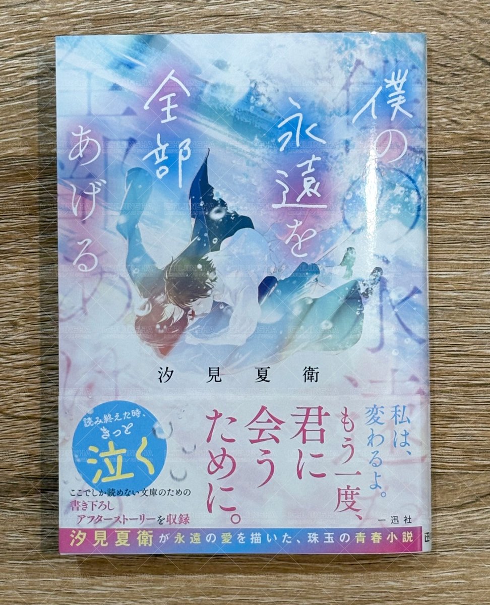 本日発売／一迅社文芸】 『僕の永遠を全部あげる』 作：汐見夏衛／絵