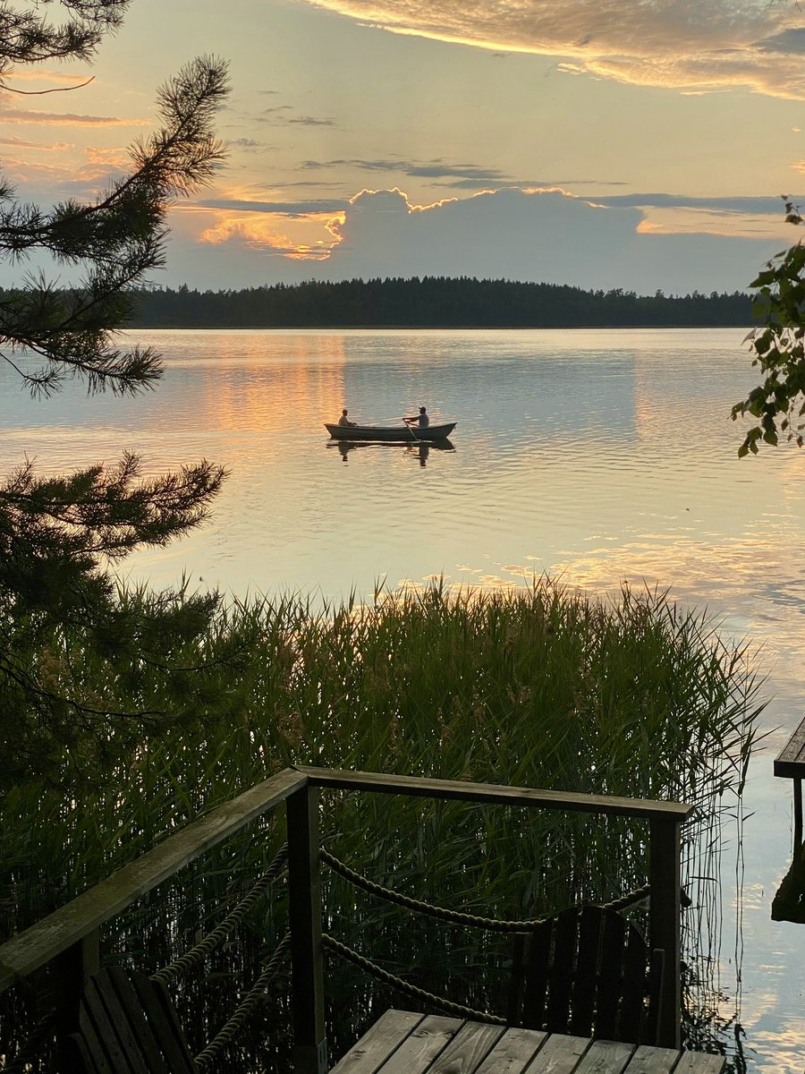 God's Country tweet media