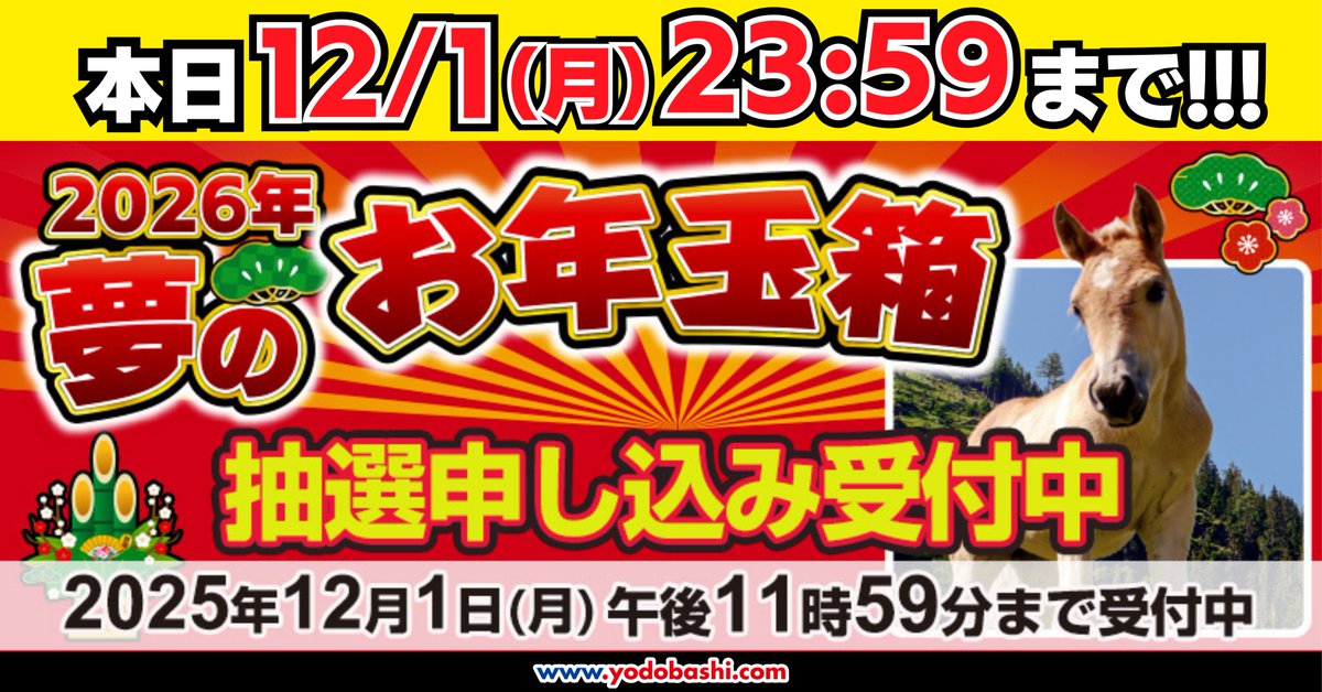 今日までですよー！😆