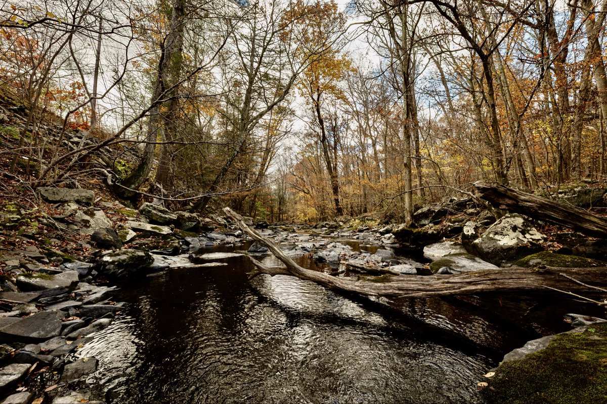 FavoriteSightsSounds tweet media