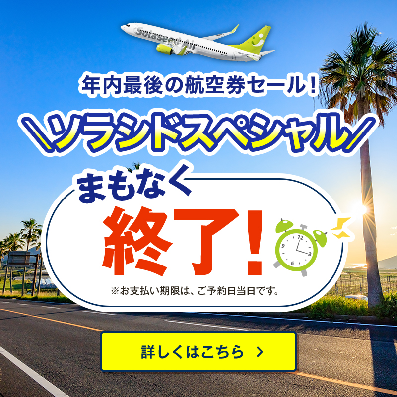 そらページ ソラニ遮光カーボン軽量ミニ50 | nifty colors STORE