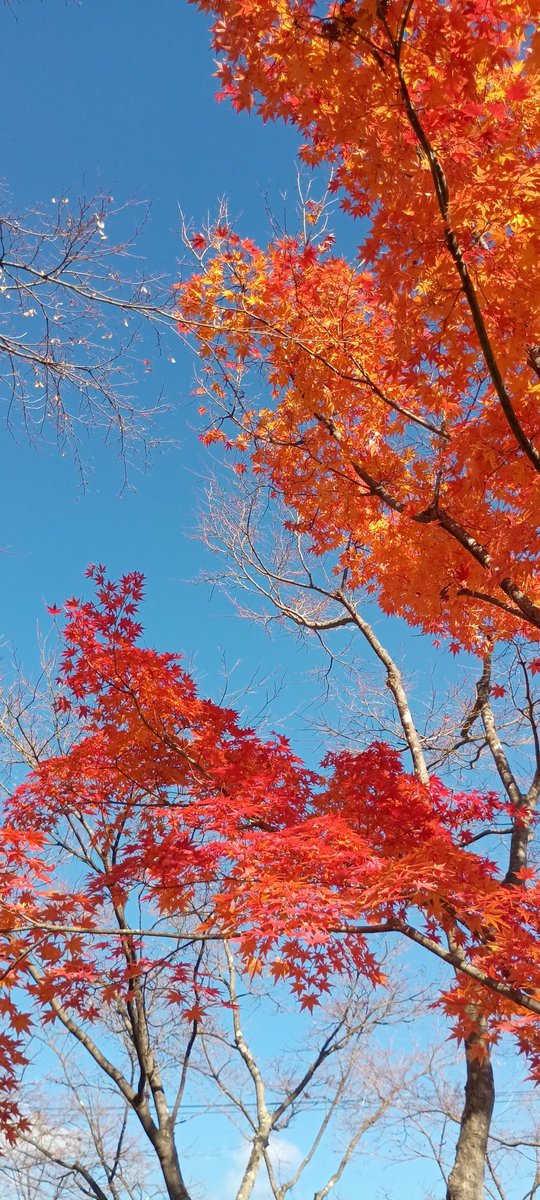 ruby (@ruby23932905) / Posts / X