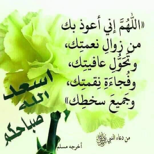 Abullah22022's tweet photo. https://t.co/iNIN8lzhbx